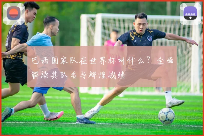 巴西国家队在世界杯叫什么？全面解读其队名与辉煌战绩