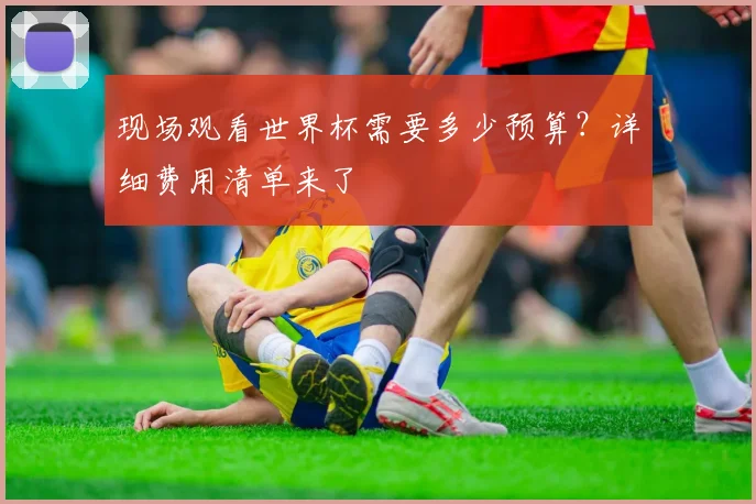 现场观看世界杯需要多少预算？详细费用清单来了