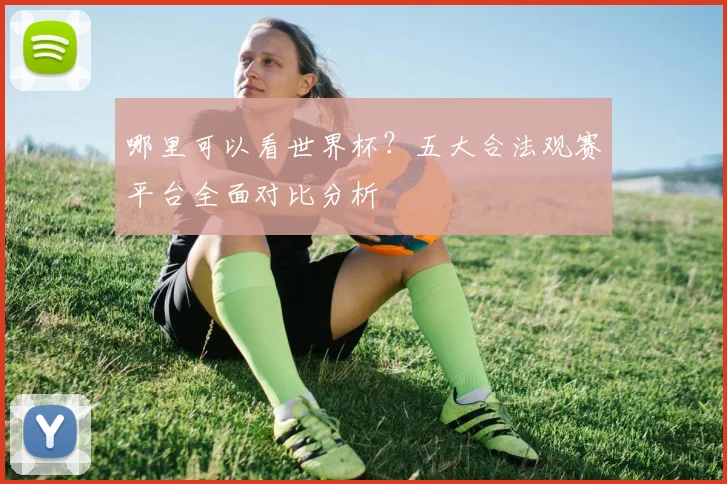 哪里可以看世界杯？五大合法观赛平台全面对比分析
