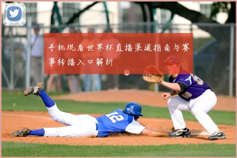 手机观看世界杯直播渠道指南与赛事转播入口解析