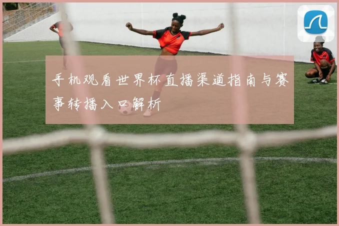 手机观看世界杯直播渠道指南与赛事转播入口解析