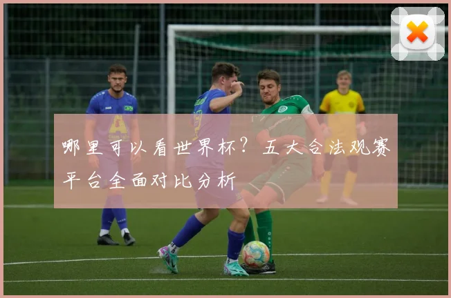 哪里可以看世界杯？五大合法观赛平台全面对比分析