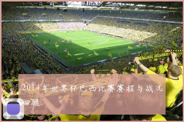 2014年世界杯巴西比赛赛程与战况回顾