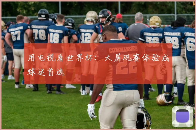 用电视看世界杯:大屏观赛体验成球迷首选